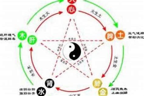 属虎五行属什么|属虎五行属什么？金、木、水、火、土的特点解析